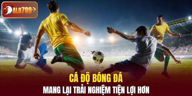 Cá độ bóng đá mang lại trải nghiệm tiện lợi hơn