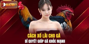 cách xổ lãi cho gà