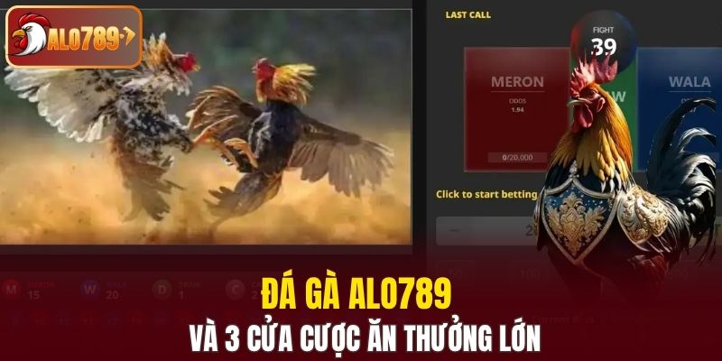 Đá gà Alo789 và 3 cửa cược ăn thưởng lớn 