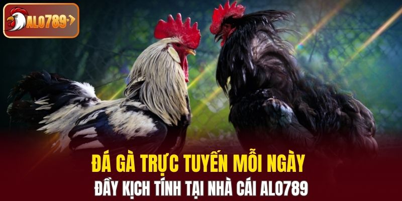 đá gà trực tuyến