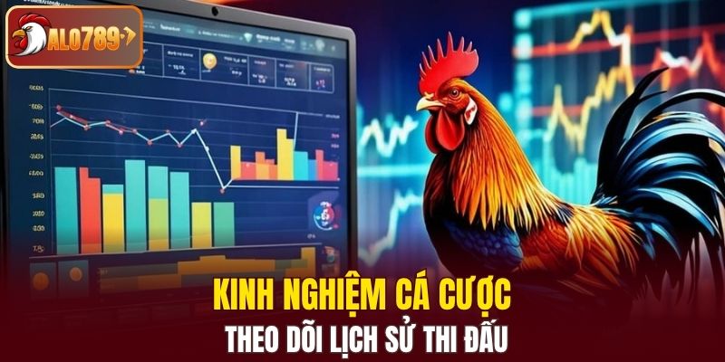 Kinh nghiệm cá cược đá gà C1 theo dõi lịch sử thi đấu