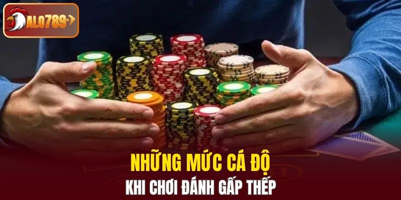 Những mức cá độ khi chơi đánh gấp thếp