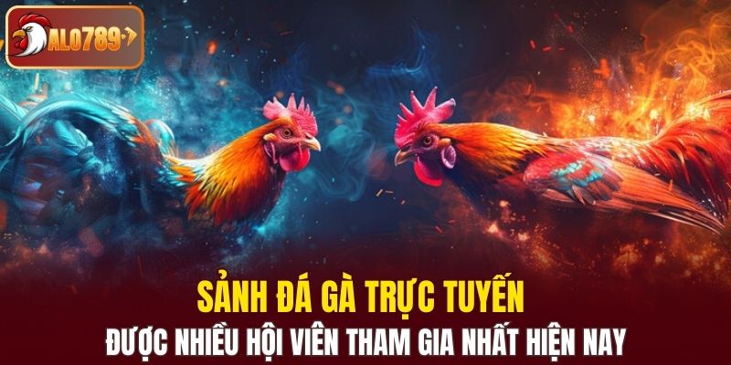 Sảnh đá gà trực tuyến được nhiều hội viên tham gia nhất hiện nay