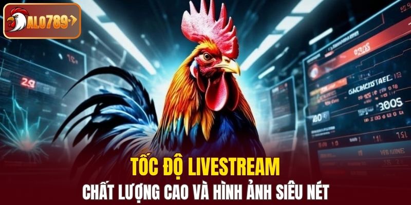 Tốc độ Livestream chất lượng cao và hình ảnh siêu nét 