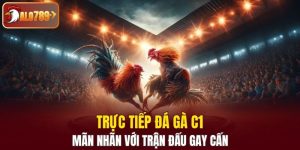 Trực tiếp đá gà C1