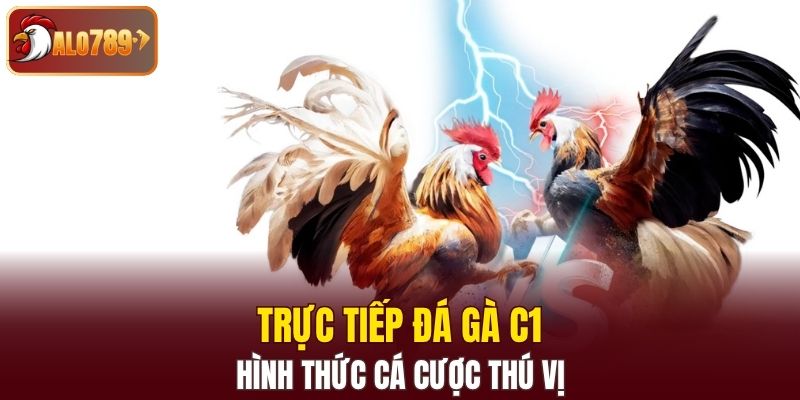 Trực tiếp đá gà C1 tại nhà cái là hình thức cá cược thú vị