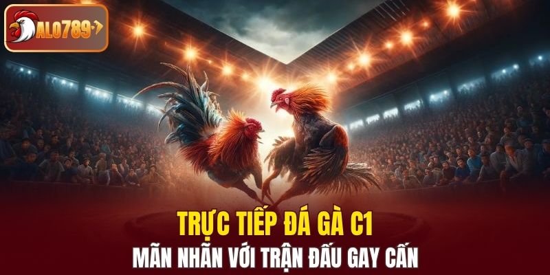 Trực tiếp đá gà C1